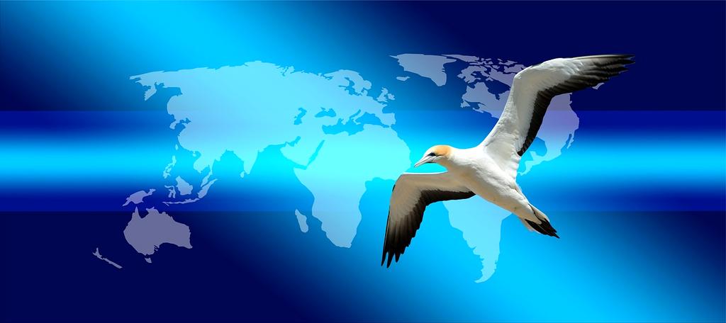 Neural network processing icon