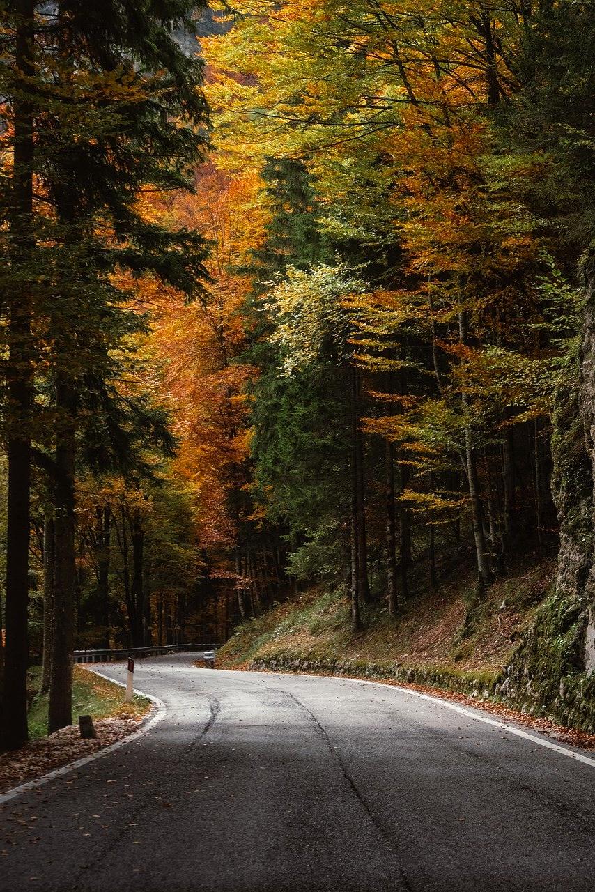 Quantum encryption visualization showing secure notification pathways with holographic security layers