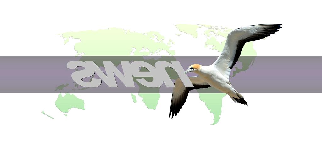 Portrait of Julia Meier, Head of AI Research